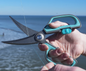 Ultimate Shears & Sheath