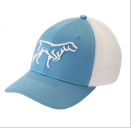 3D Puff Logo Youth Hat