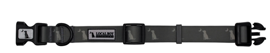 Local Boy Dog Collar