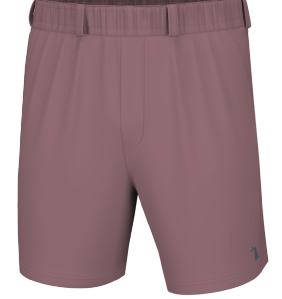 LBO Volley Shorts